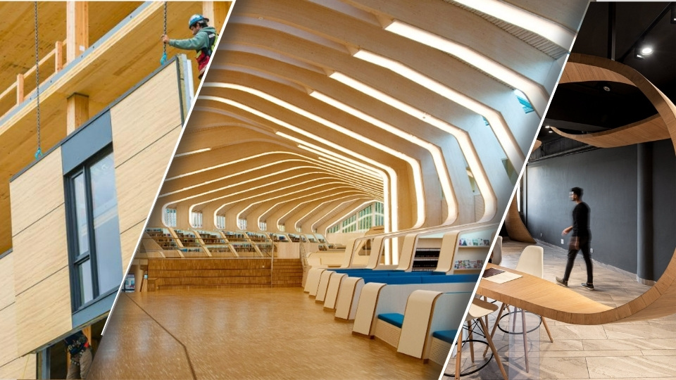 Home ADX Plywood Top 5 remarkable Plywood architectural projects